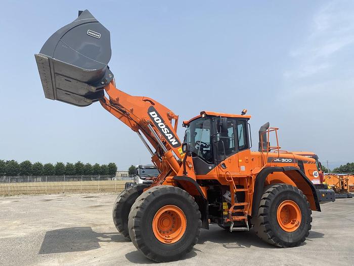 Usato 2014 DOOSAN DL 300-3