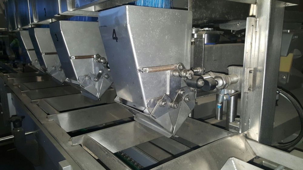 Used Newweigh lineair weighing and packing line