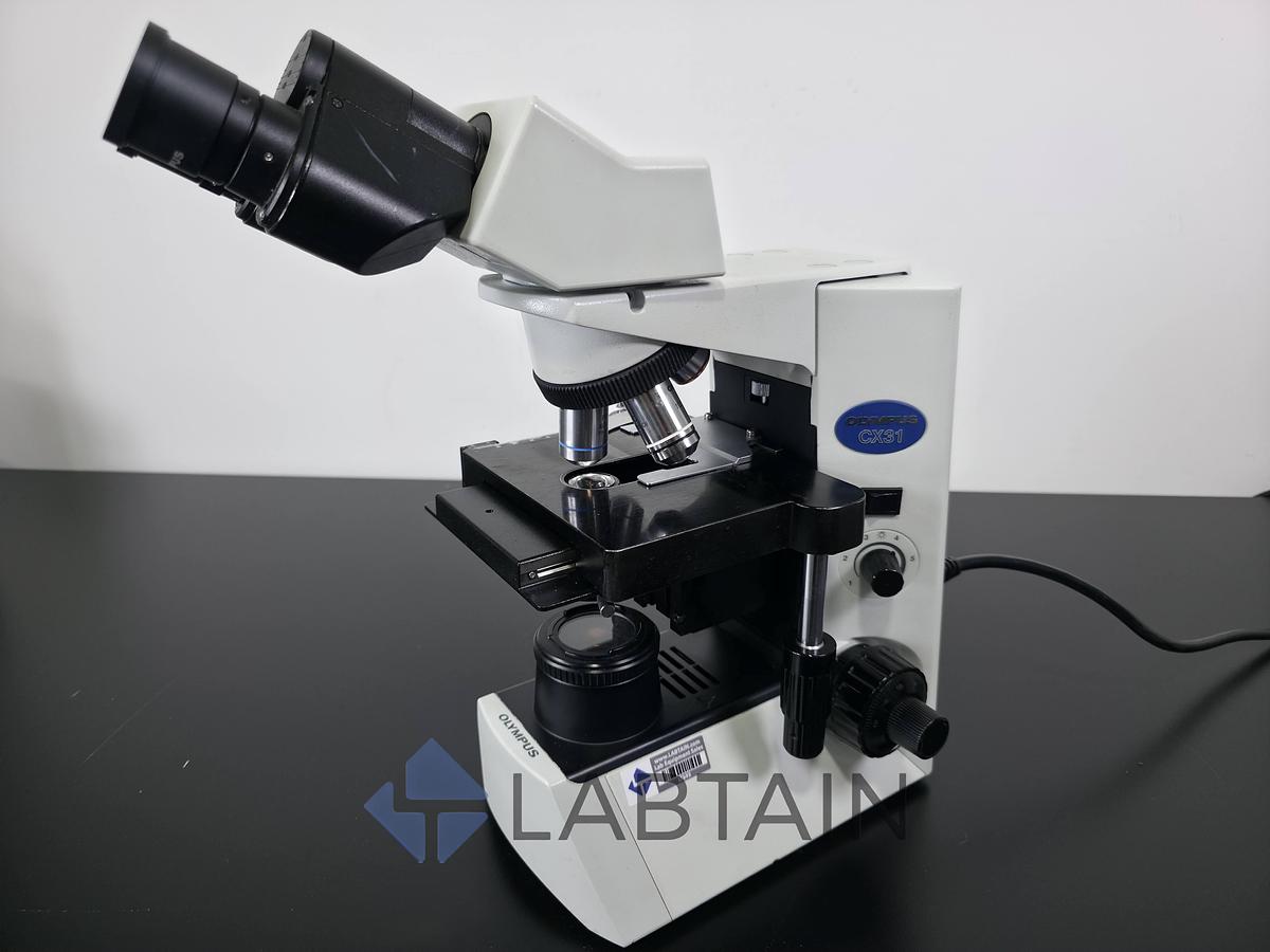 Used Olympus CX31 Binocular Biological Microscope PlanC Infinity Optics 4x-100x Used