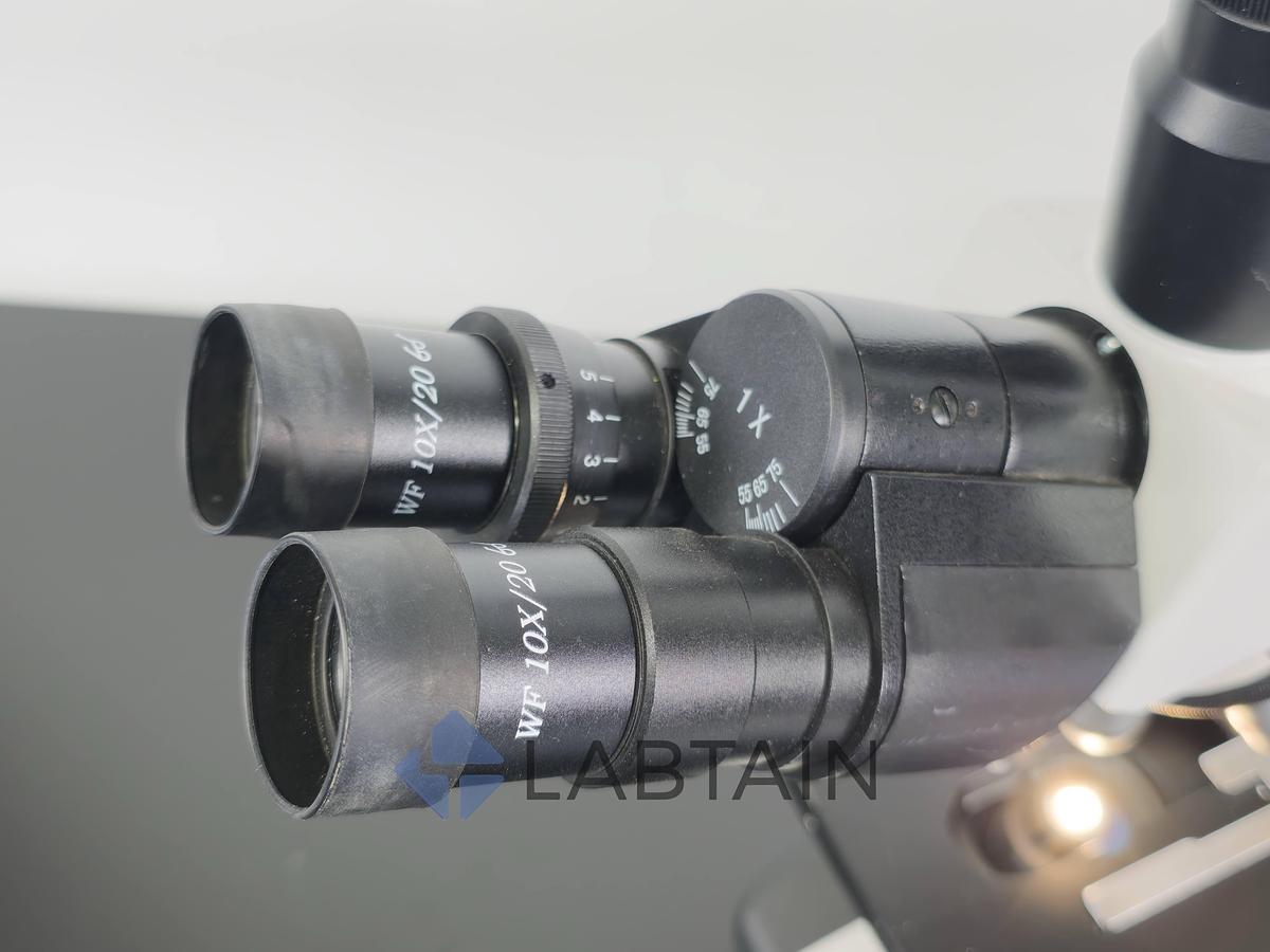 Used OEM Trinocular Compound Brightfield Microscope 40X-1000X Halogen