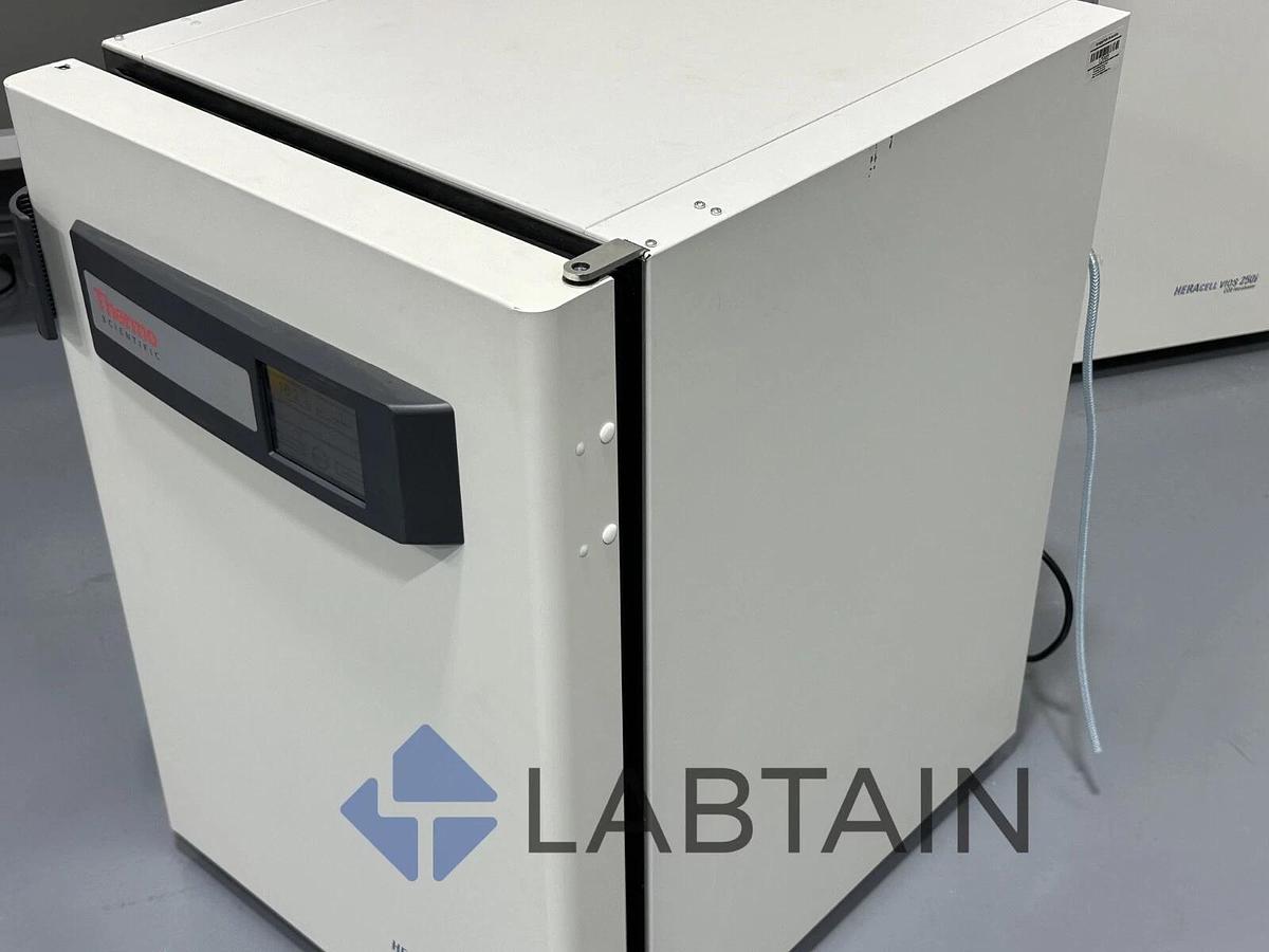 Used Thermo Scientific Heracell VIOS 160i CO2 Incubator, 165 L | 51030400