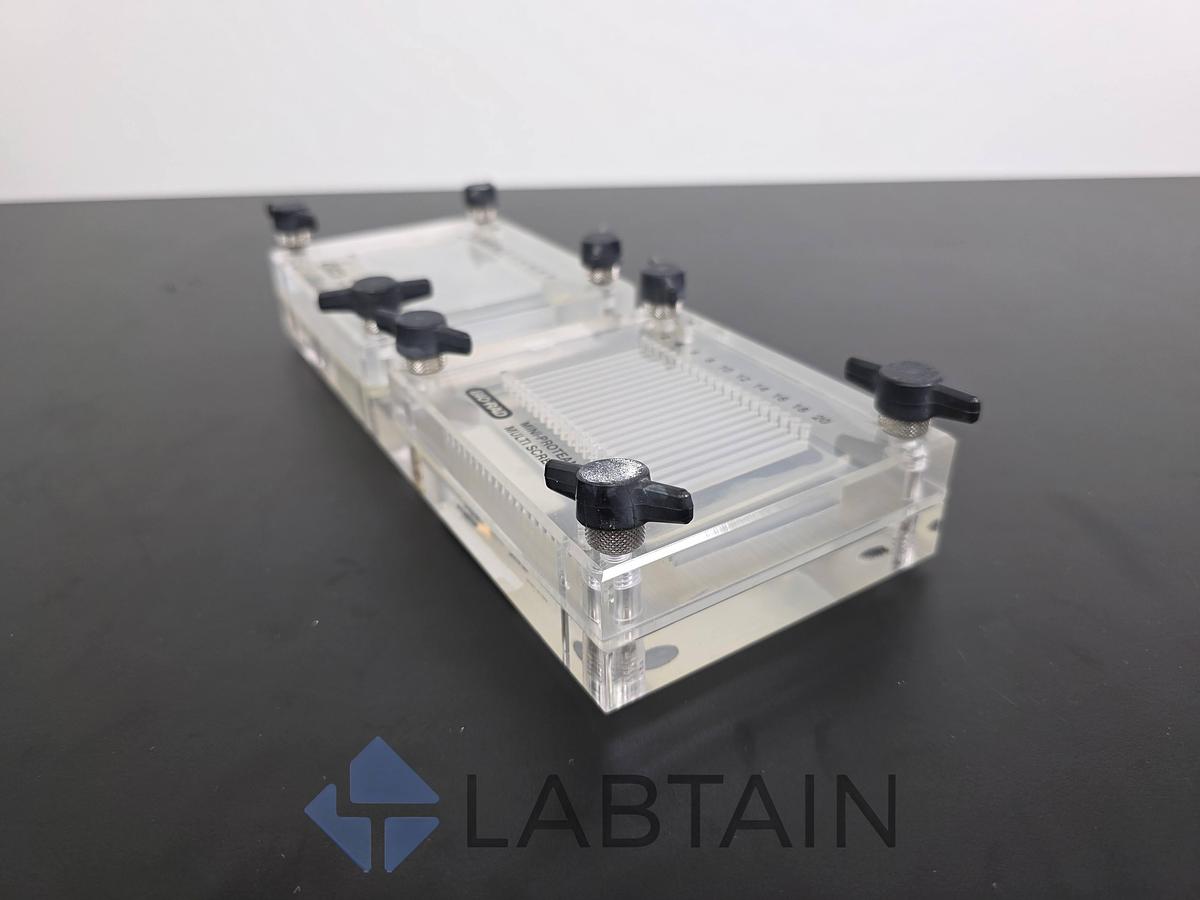 Used Bio-Rad Mini-PROTEAN II Multiscreen Immunoblotting Apparatus 170-4017