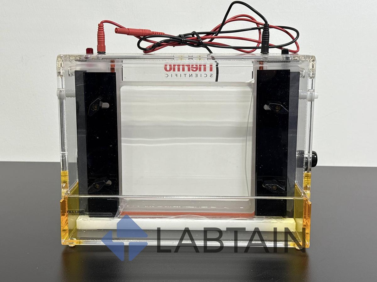 Used Thermo Scientific Owl 10DS Vertical Gel Electrophoresis System – Used