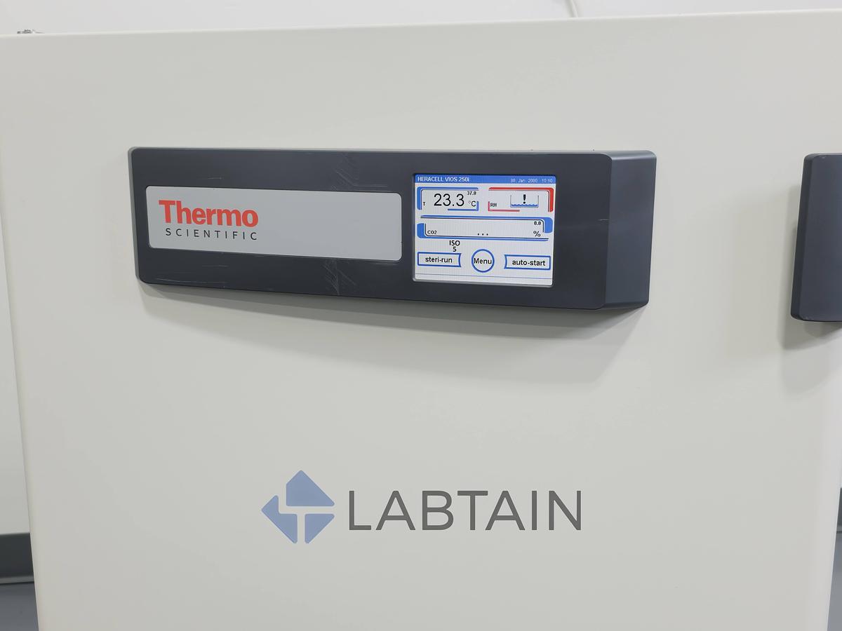 Used Thermo Scientific HERAcell Vios 250i CO2 Incubator (100V) Used