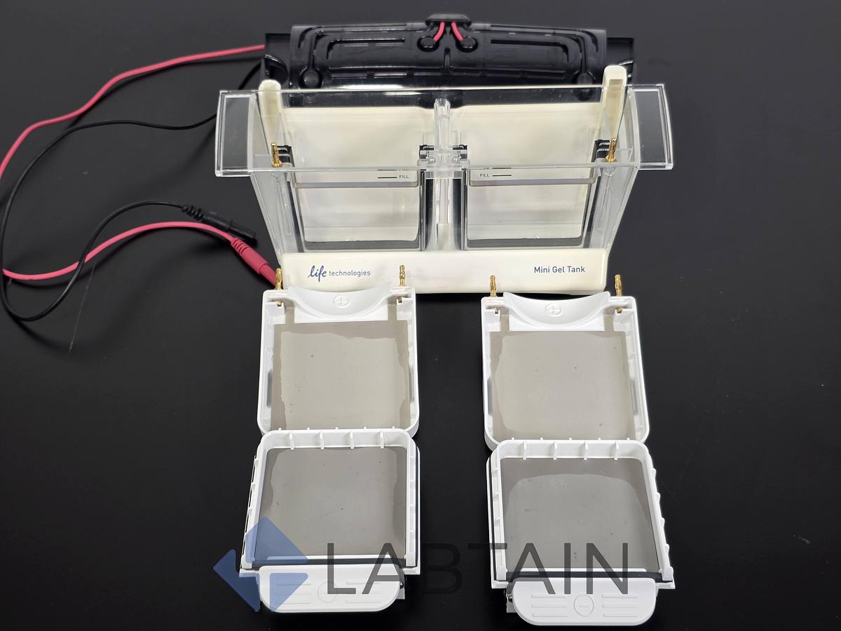 Used Life Technologies Novex Mini Gel Tank w/ (2) Invitrogen Mini Blot Modules