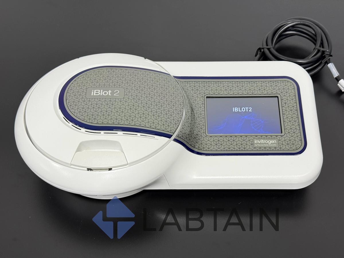 Used Thermo Scientific / Invitrogen iBlot 2 Gel Transfer Device, Model IB21001, Serial No. 0304210320