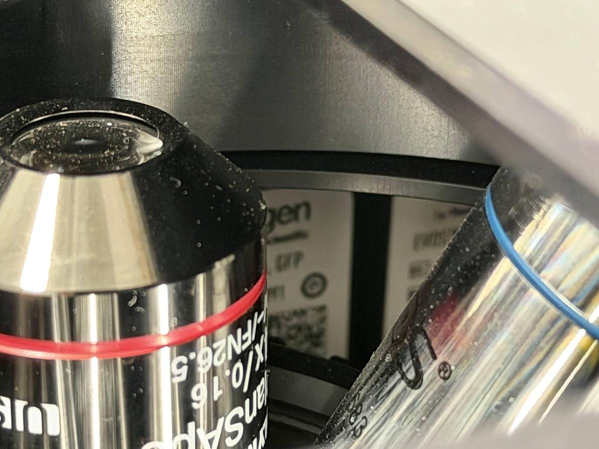 Used Life Technologies EVOS FL Auto Cell Imaging System – Fully Automated Fluorescence Microscope