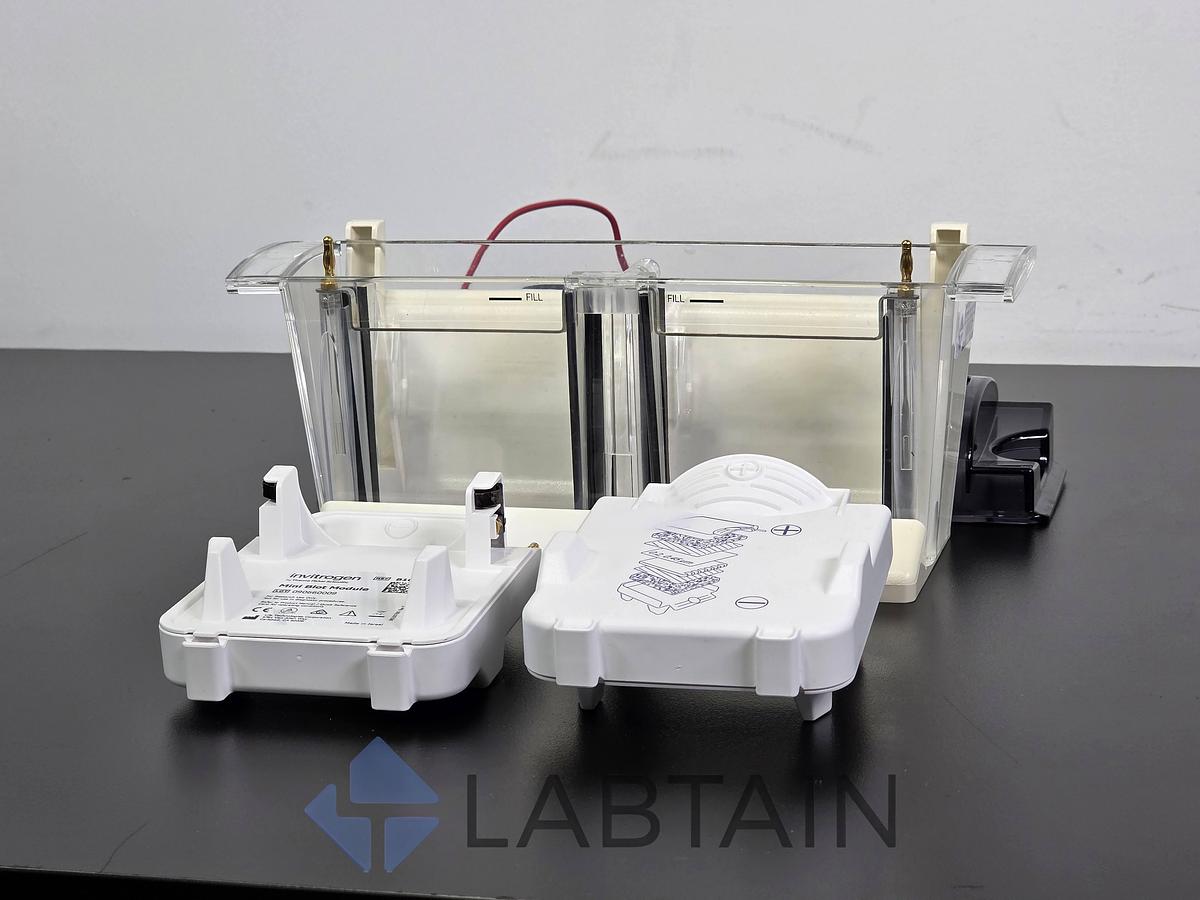 Used Life Technologies Novex Bolt Mini Gel Tank w/ (2) Invitrogen Mini Blot Modules