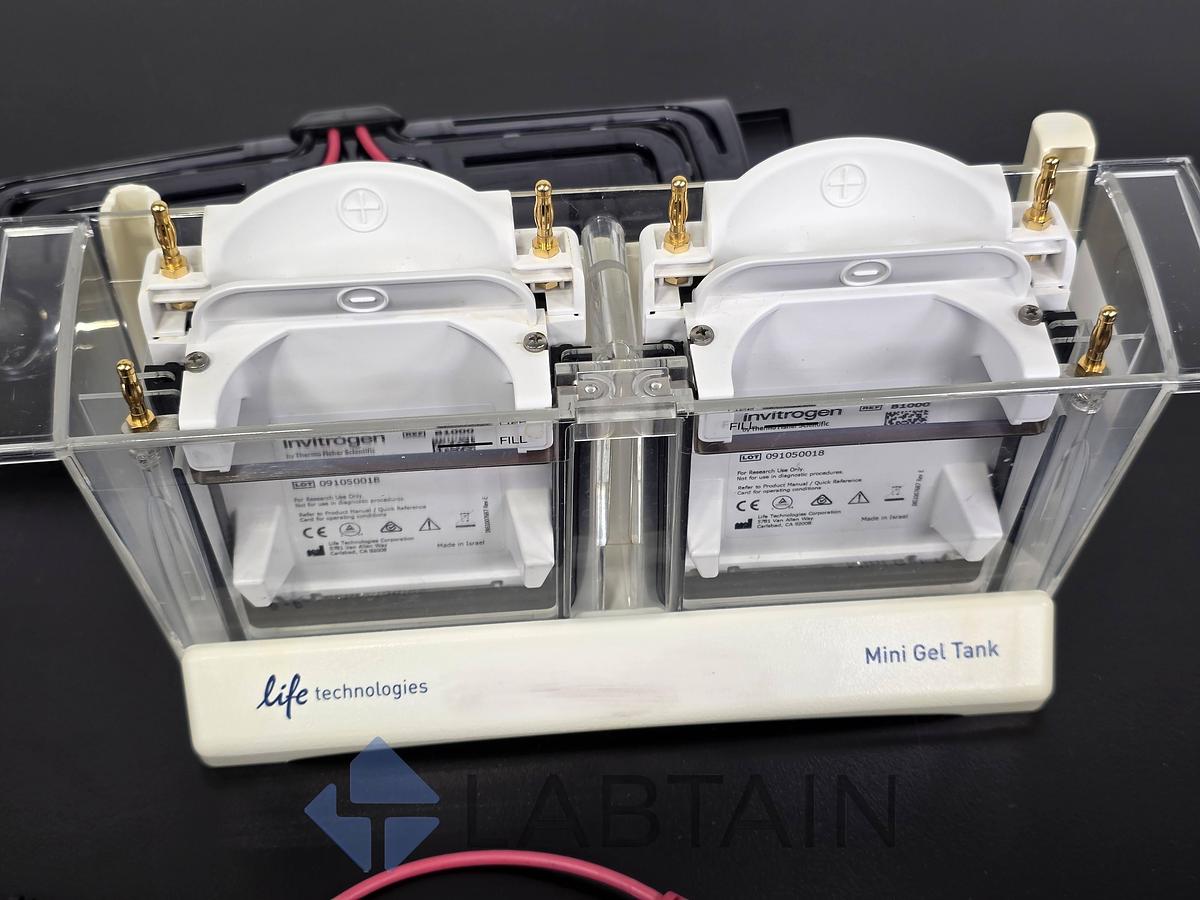 Used Life Technologies Novex Mini Gel Tank w/ (2) Invitrogen Mini Blot Modules