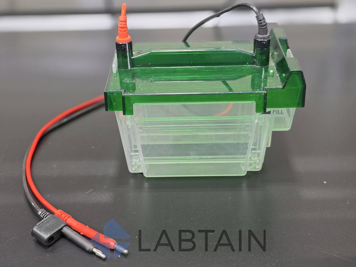 Used Bio-Rad Criterion Cell Midi Vertical Electrophoresis System