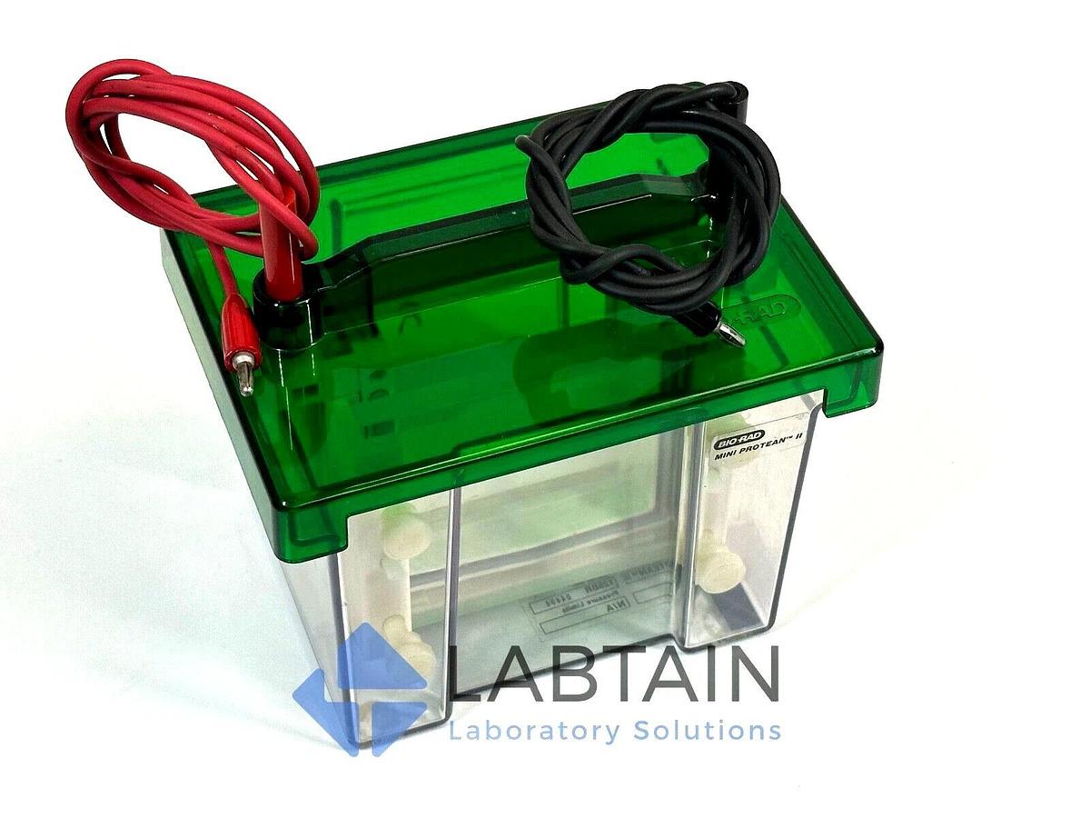 Used BioRad / Bio-Rad Mini PROTEAN II Vertical Electrophoresis System | 125BR