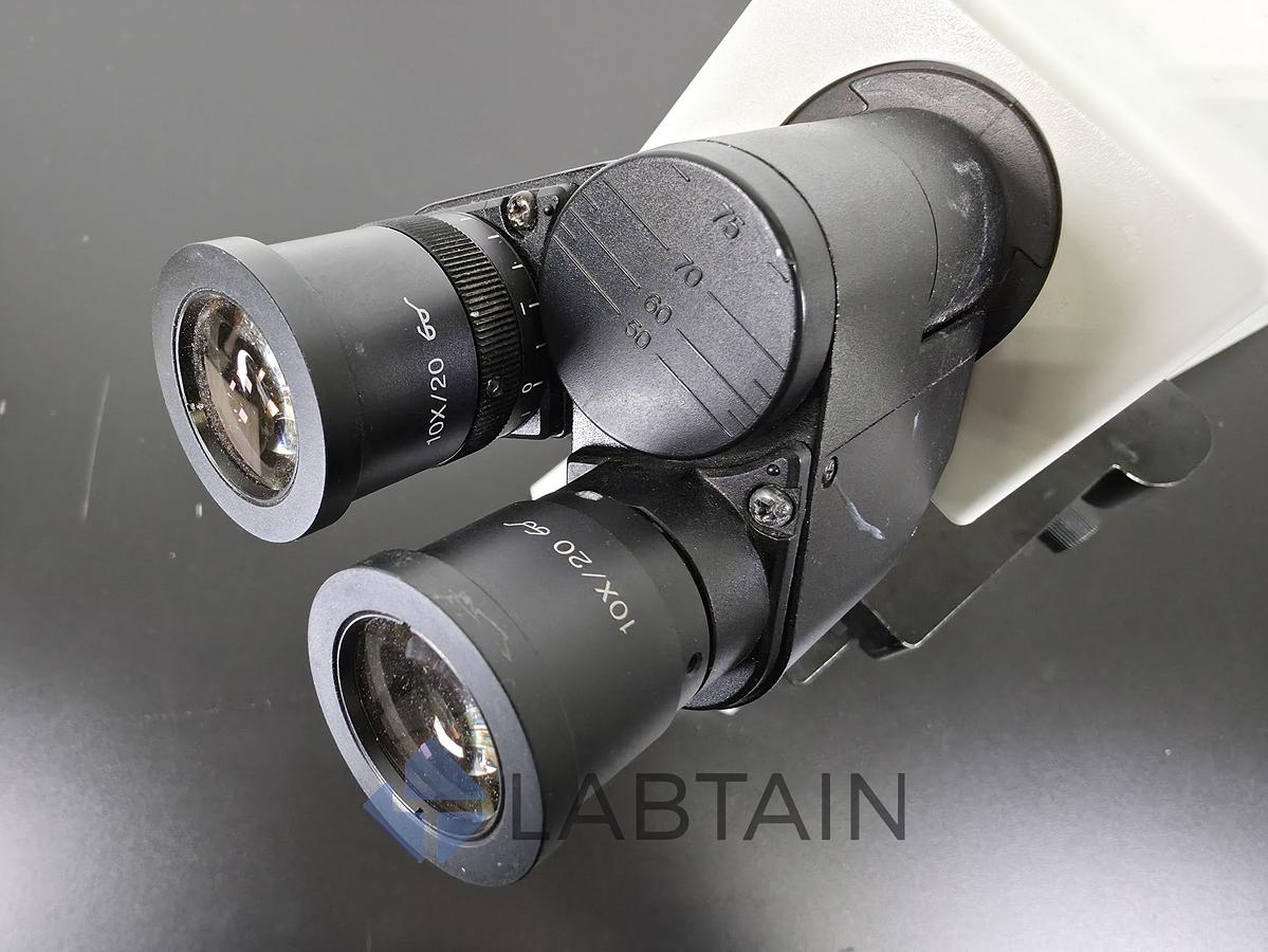 Used Olympus CX31 Binocular Biological Microscope PlanC Infinity Optics 4x-100x Used