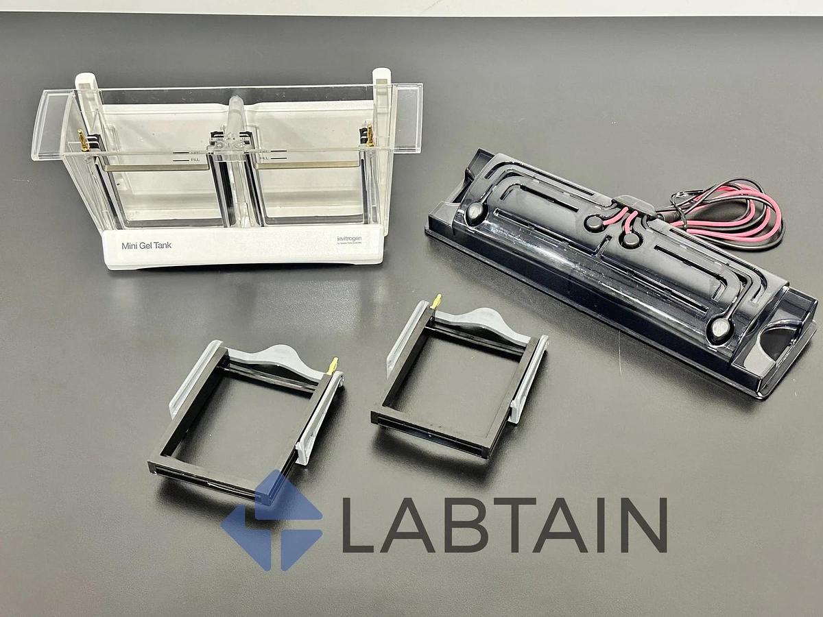 Used Invitrogen Mini Gel Tank A25977 - Electrophoresis System - Thermo Fisher