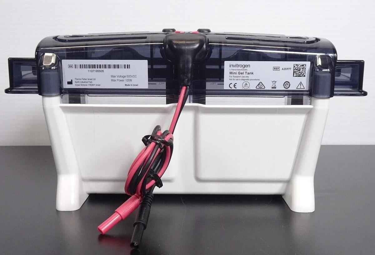Used Invitrogen A25977 Mini Gel Tank Electrophoresis System _ Free Shipping