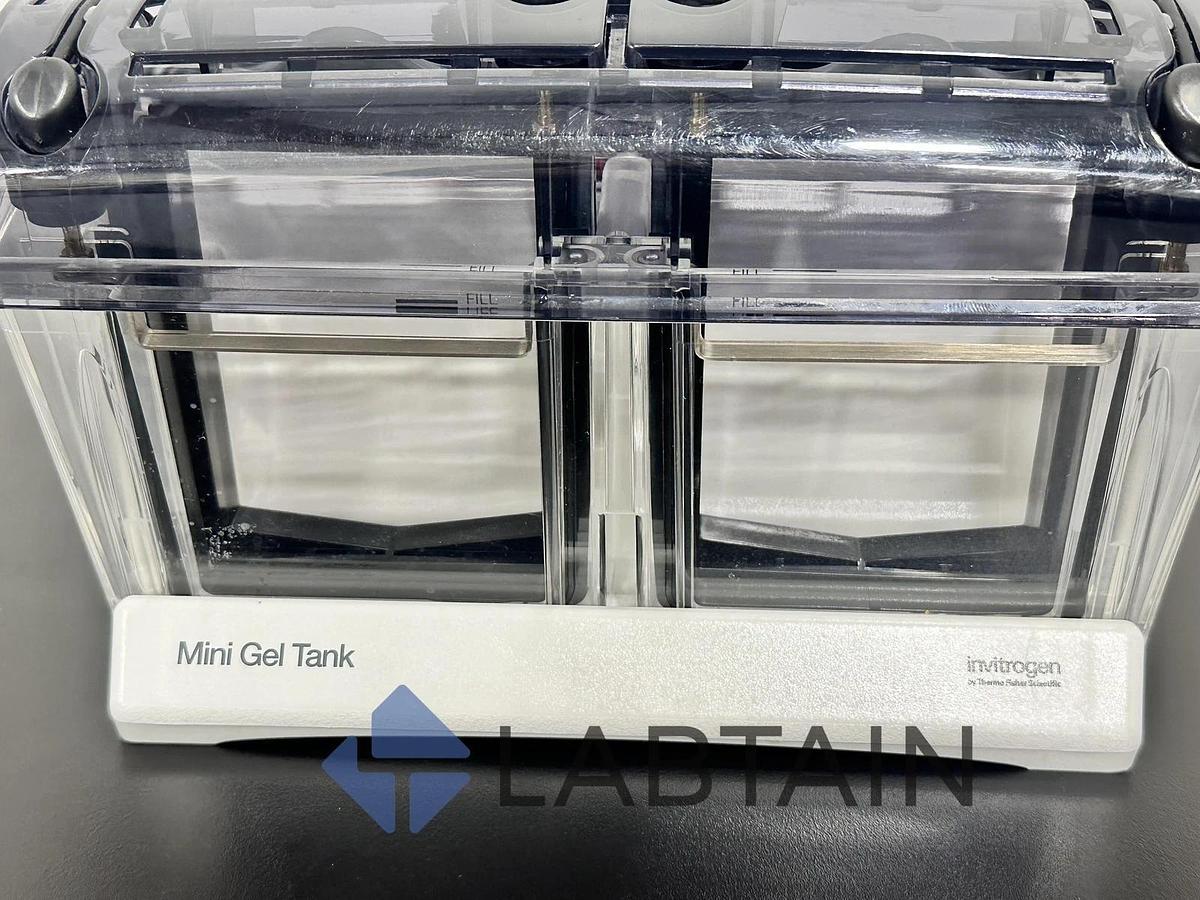 Used Invitrogen Mini Gel Tank A25977 - Electrophoresis System - Thermo Fisher