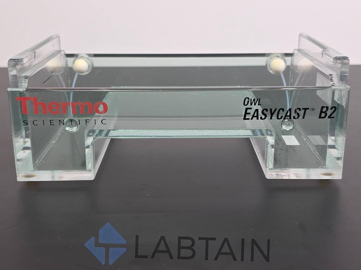 Used Thermo Scientific Owl EasyCast B2 Horizontal Electrophoresis Base Tank