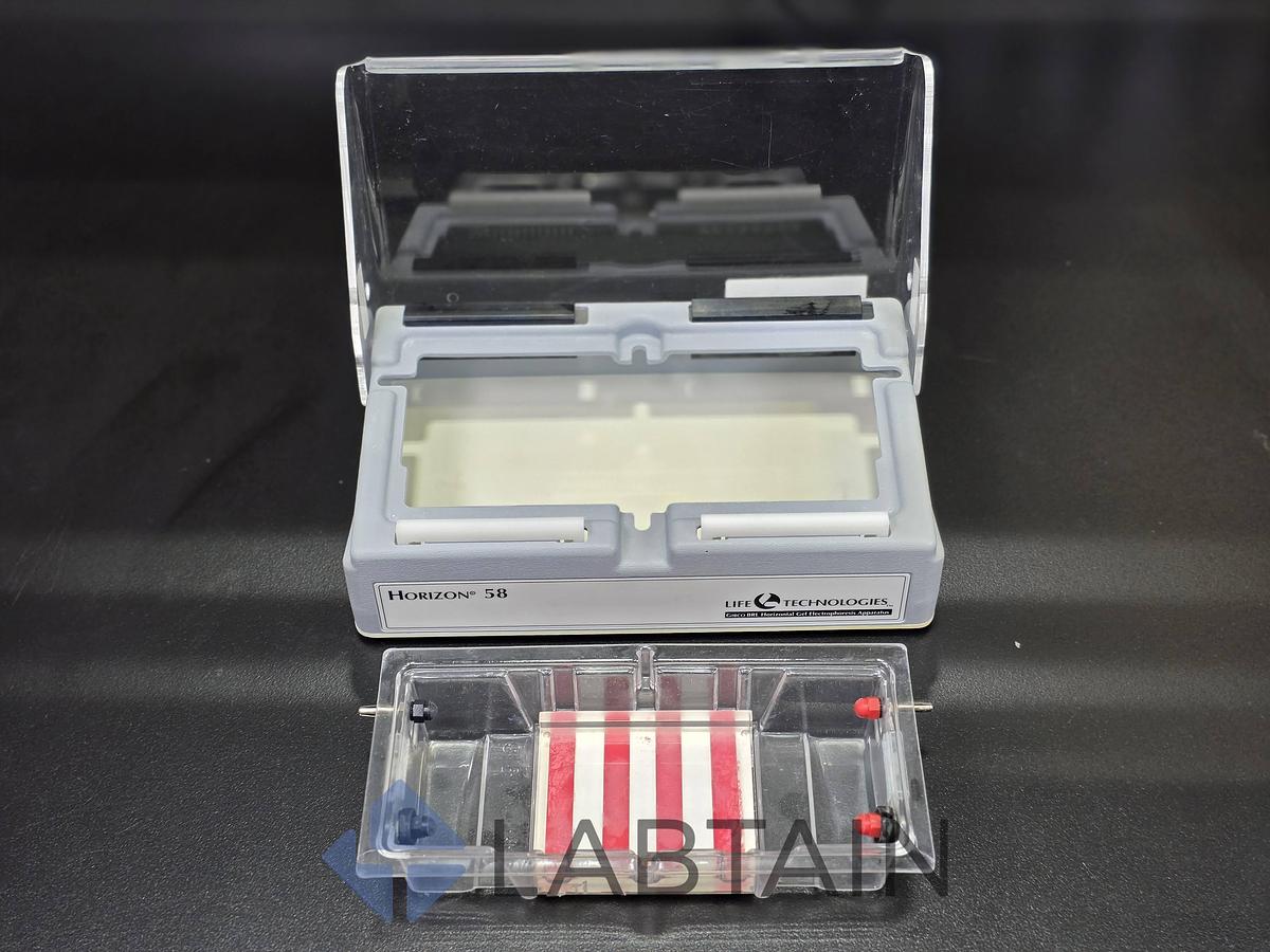 Used Life Technologies Gibco BRL Horizon 58 Horizontal Gel Electrophoresis System Used