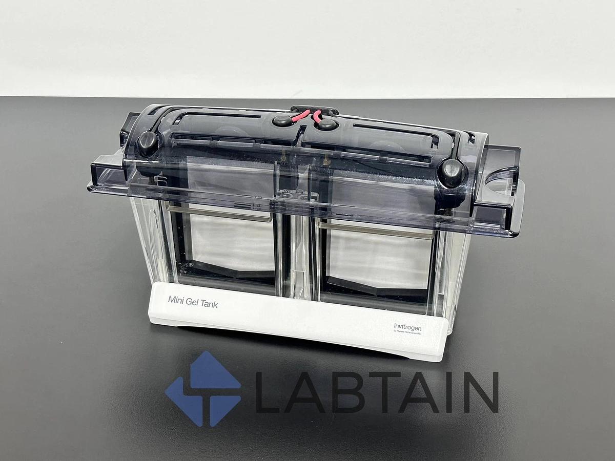 Used Invitrogen Mini Gel Tank A25977 - Electrophoresis System - Thermo Fisher