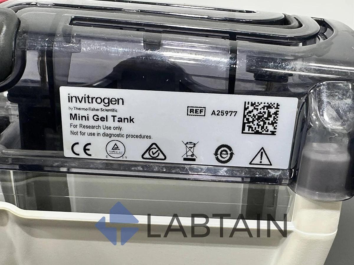 Used Invitrogen Mini Gel Tank A25977 - Electrophoresis System - Thermo Fisher