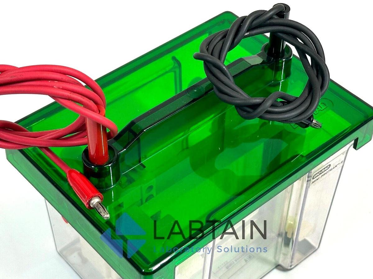 Used BioRad / Bio-Rad Mini PROTEAN II Vertical Electrophoresis System | 125BR