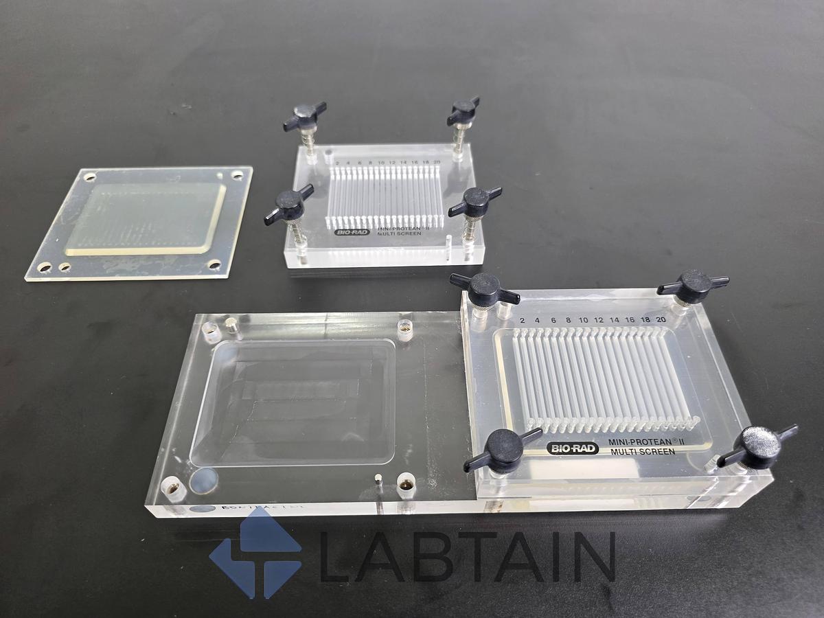 Used Bio-Rad Mini-PROTEAN II Multiscreen Immunoblotting Apparatus 170-4017