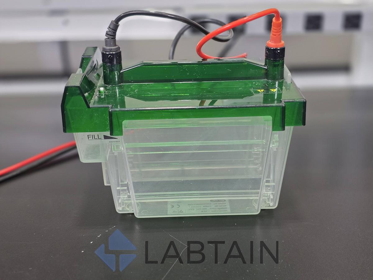 Used Bio-Rad Criterion Cell Midi Vertical Electrophoresis System