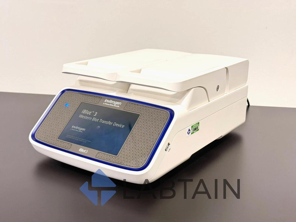 Used Invitrogen iBlot 3 Western Blot Transfer Device – Model IB31000 – Used