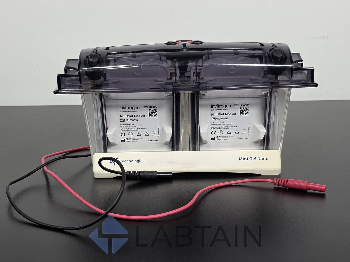Used Life Technologies Novex Mini Gel Tank w/ (2) Invitrogen Mini Blot Modules