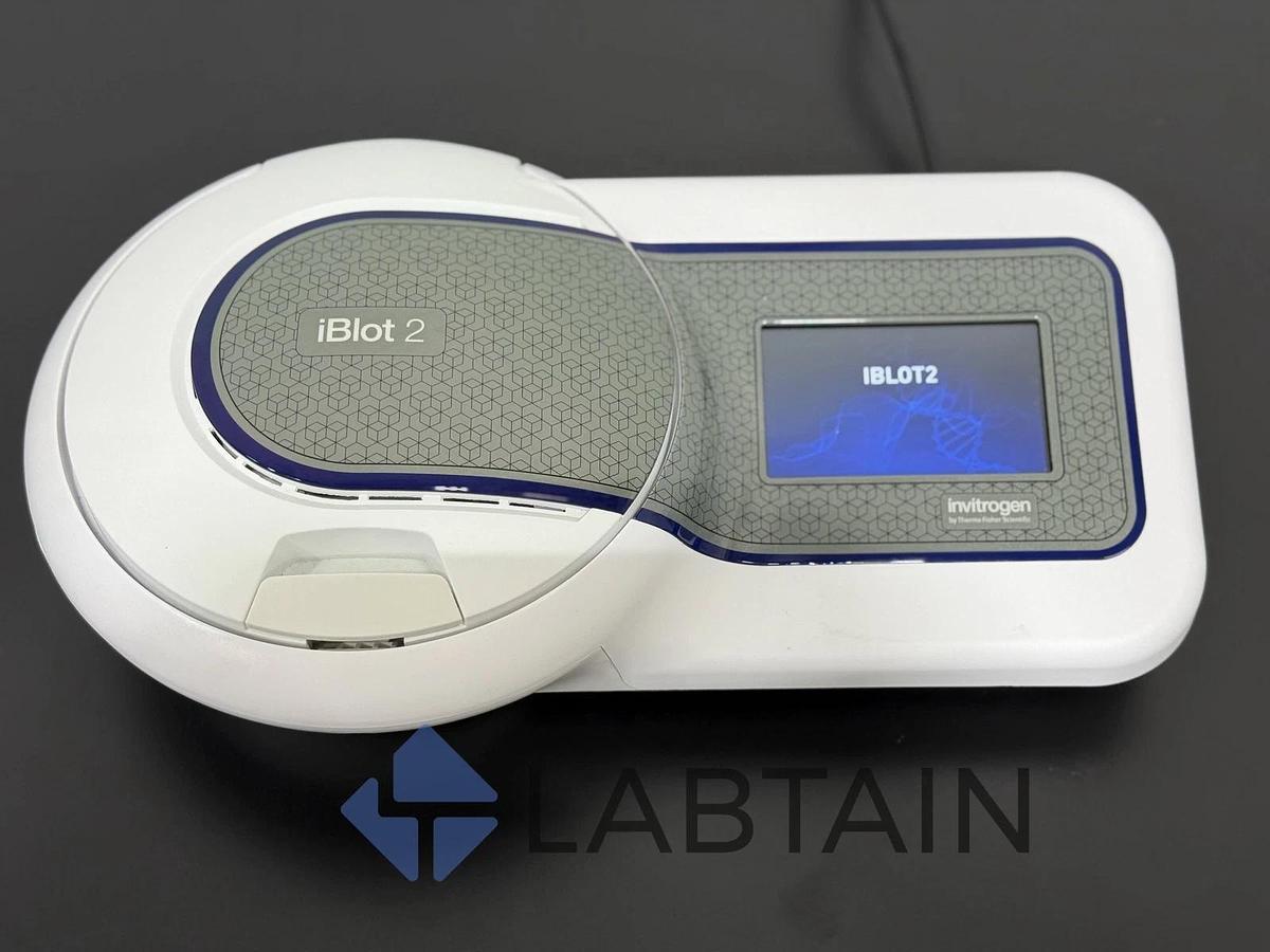 Used Life Technologies Invitrogen iBlot 2 Gel Transfer Device | IB21001 | 0303220193