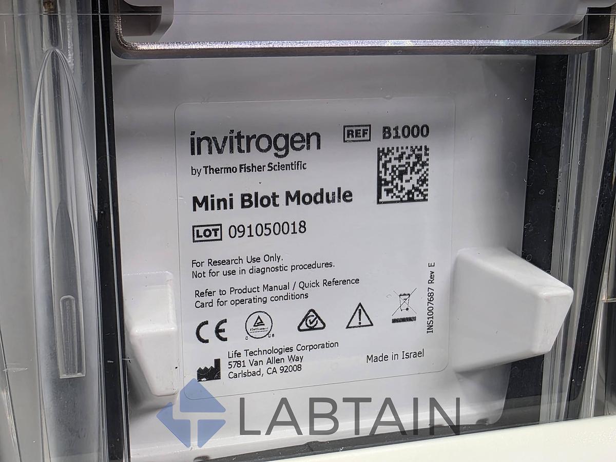 Used Life Technologies Novex Mini Gel Tank w/ (2) Invitrogen Mini Blot Modules
