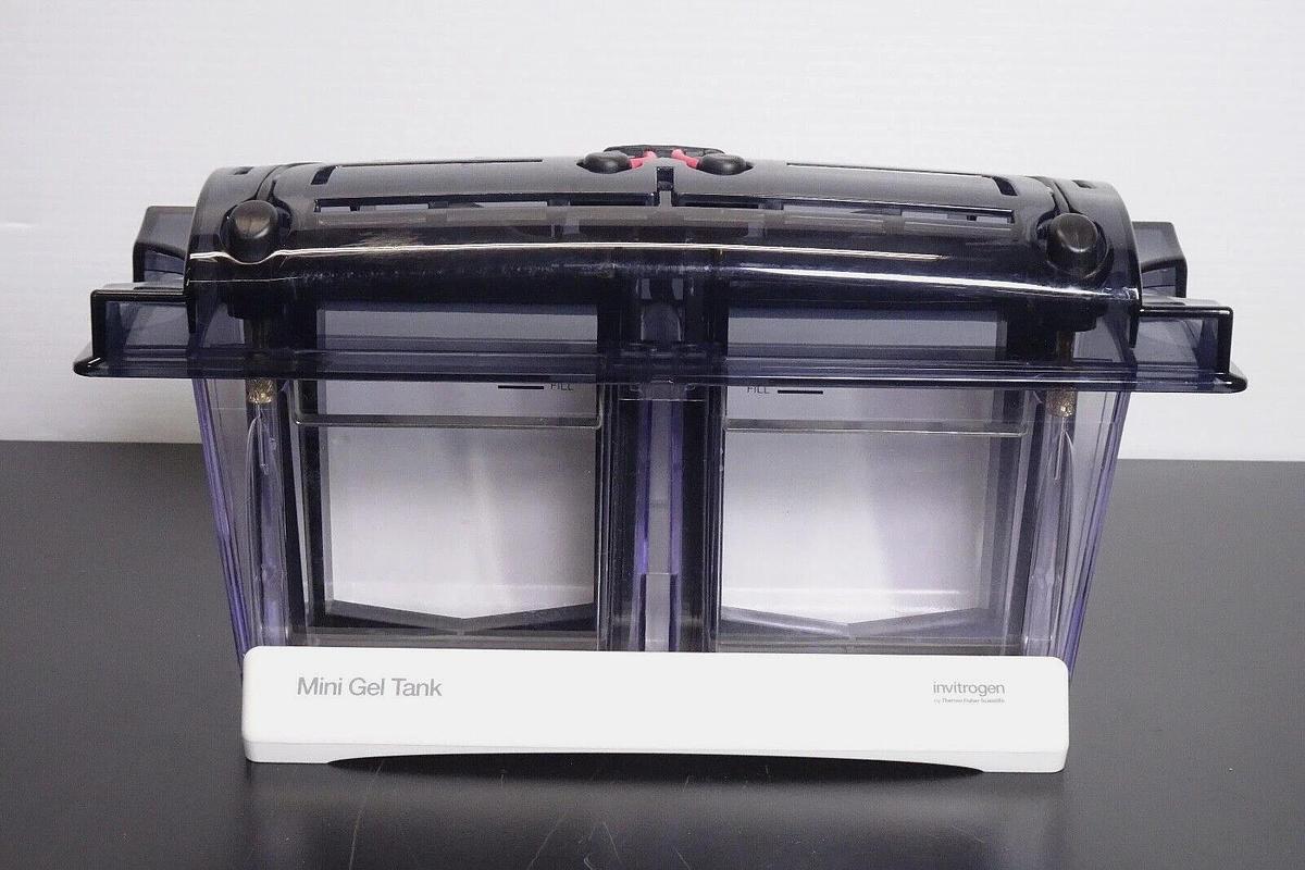 Used Invitrogen A25977 Mini Gel Tank Electrophoresis System _ Free Shipping