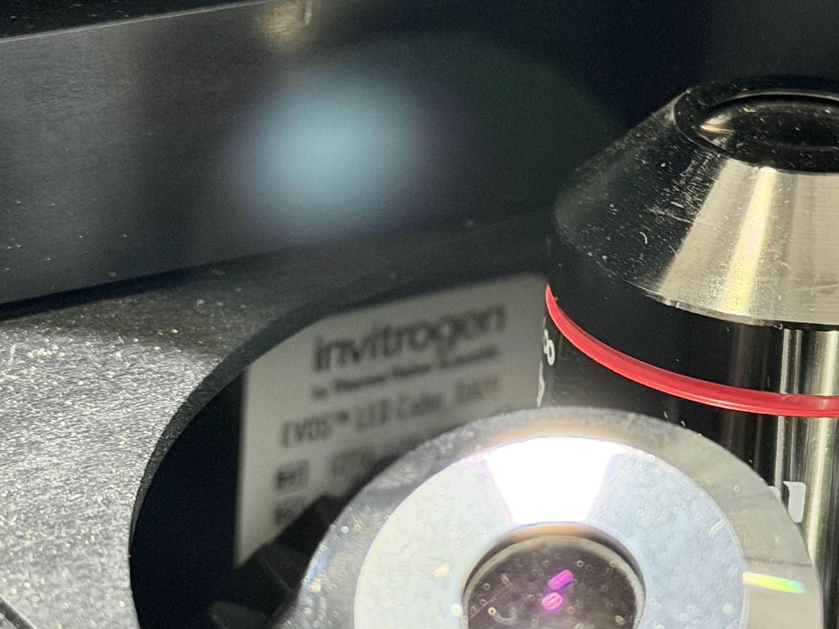 Used Life Technologies EVOS FL Auto Cell Imaging System – Fully Automated Fluorescence Microscope