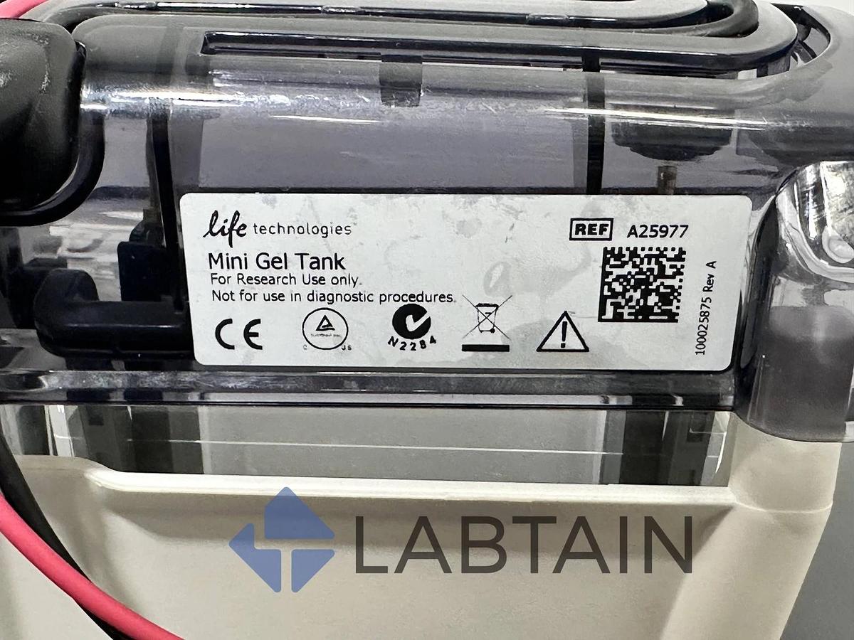 Used Life Technologies Mini Gel Tank A25977 - Electrophoresis System - Thermo Fisher