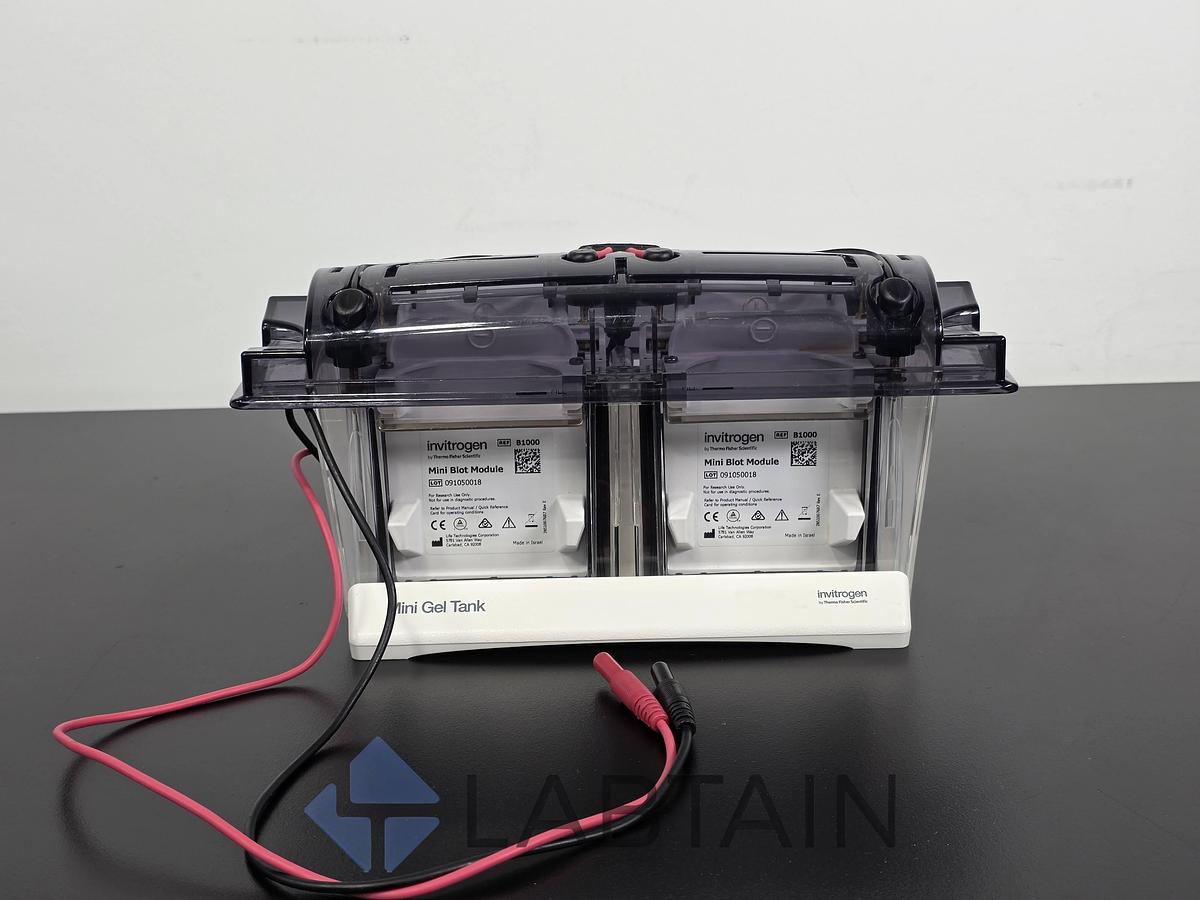 Used Invitrogen / Thermo Fisher Mini Gel Tank (A25977) with 2× Mini Blot Modules (B1000) — Vertical Mini-Gel Electrophoresis & Wet Western Transfer — Used / Inspected