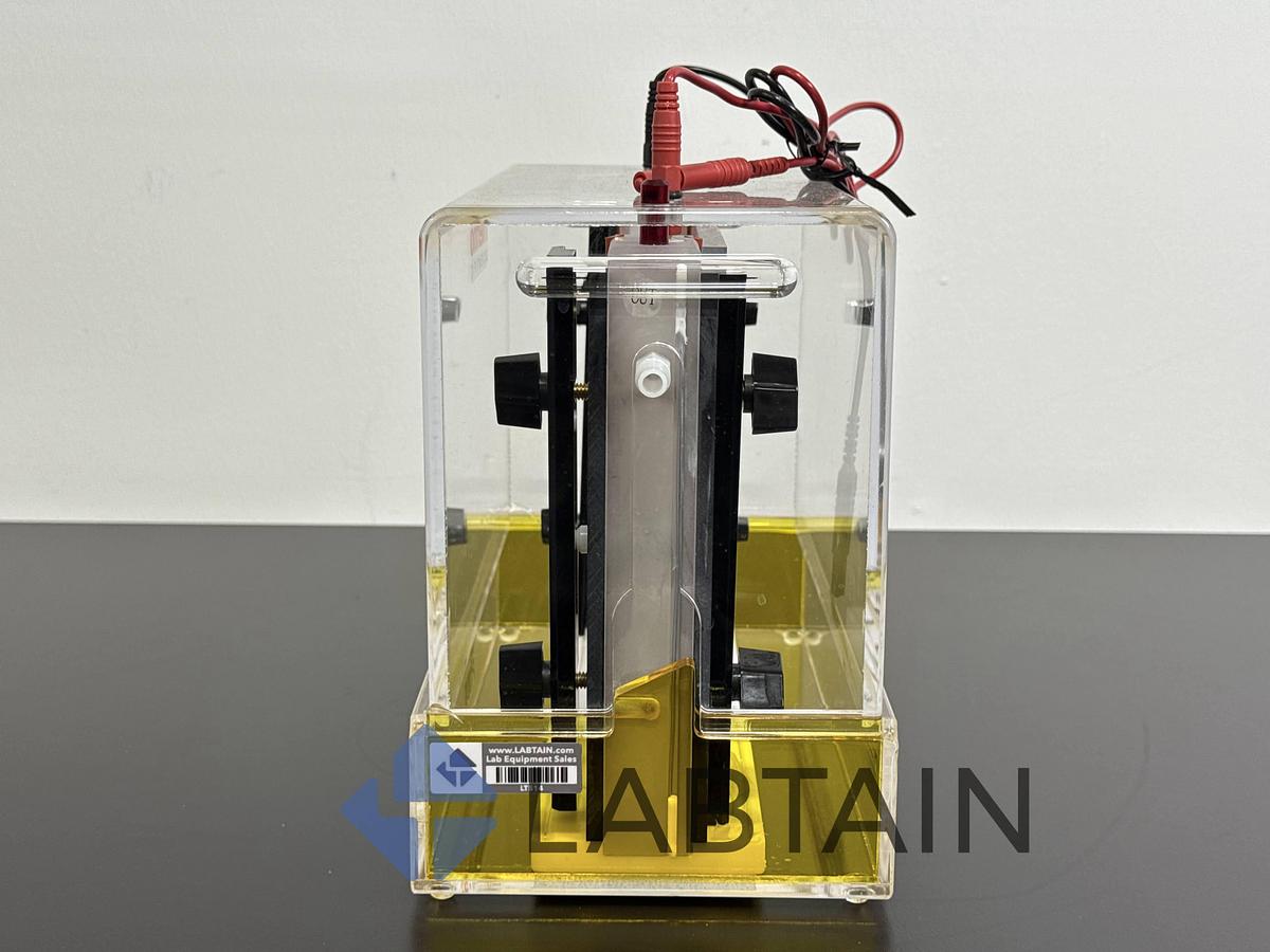 Used Thermo Scientific Owl 10DS Vertical Gel Electrophoresis System – Used