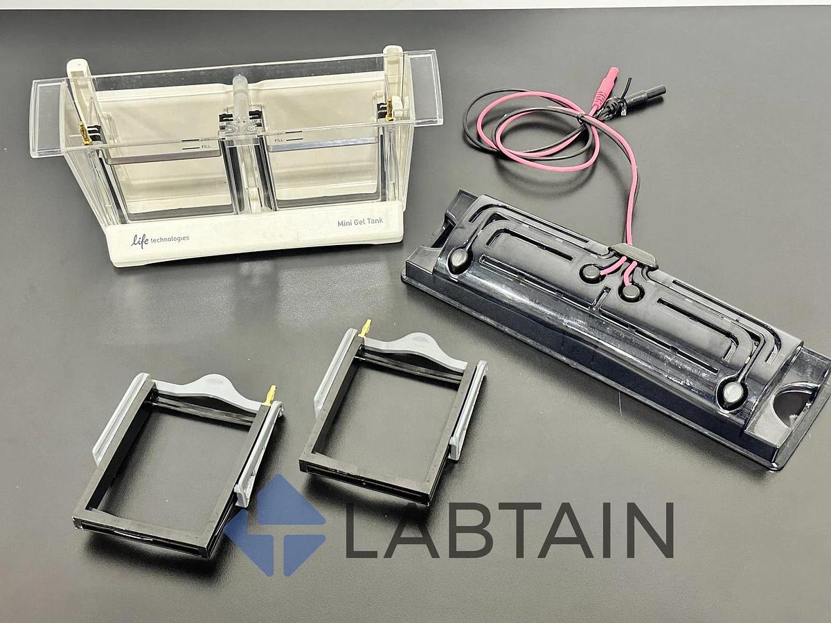 Used Life Technologies Mini Gel Tank A25977 - Electrophoresis System - Thermo Fisher