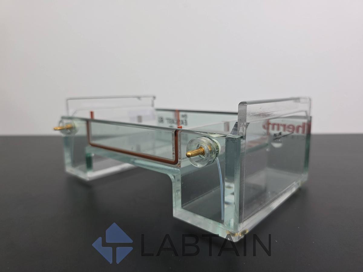 Used Thermo Scientific Owl EasyCast B2 Horizontal Electrophoresis Tank & Gel Tray Used