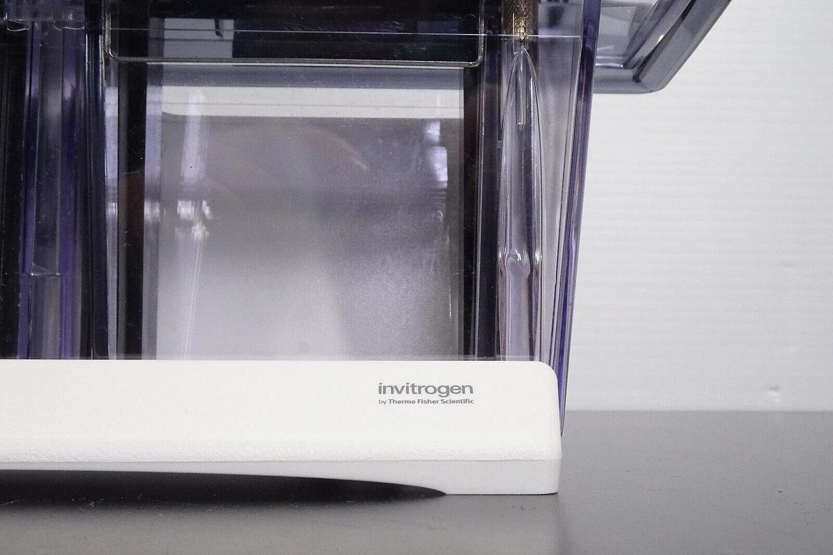 Used Invitrogen A25977 Mini Gel Tank Electrophoresis System _ Free Shipping