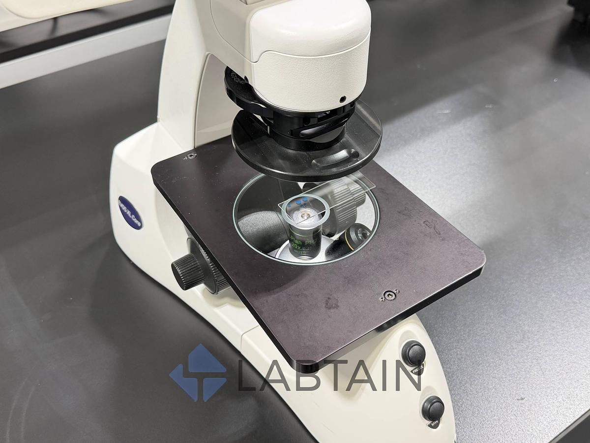 Used Life Technologies EVOS XL Core AMEX1000 Digital Cell Imaging Microscope Used/Inspected