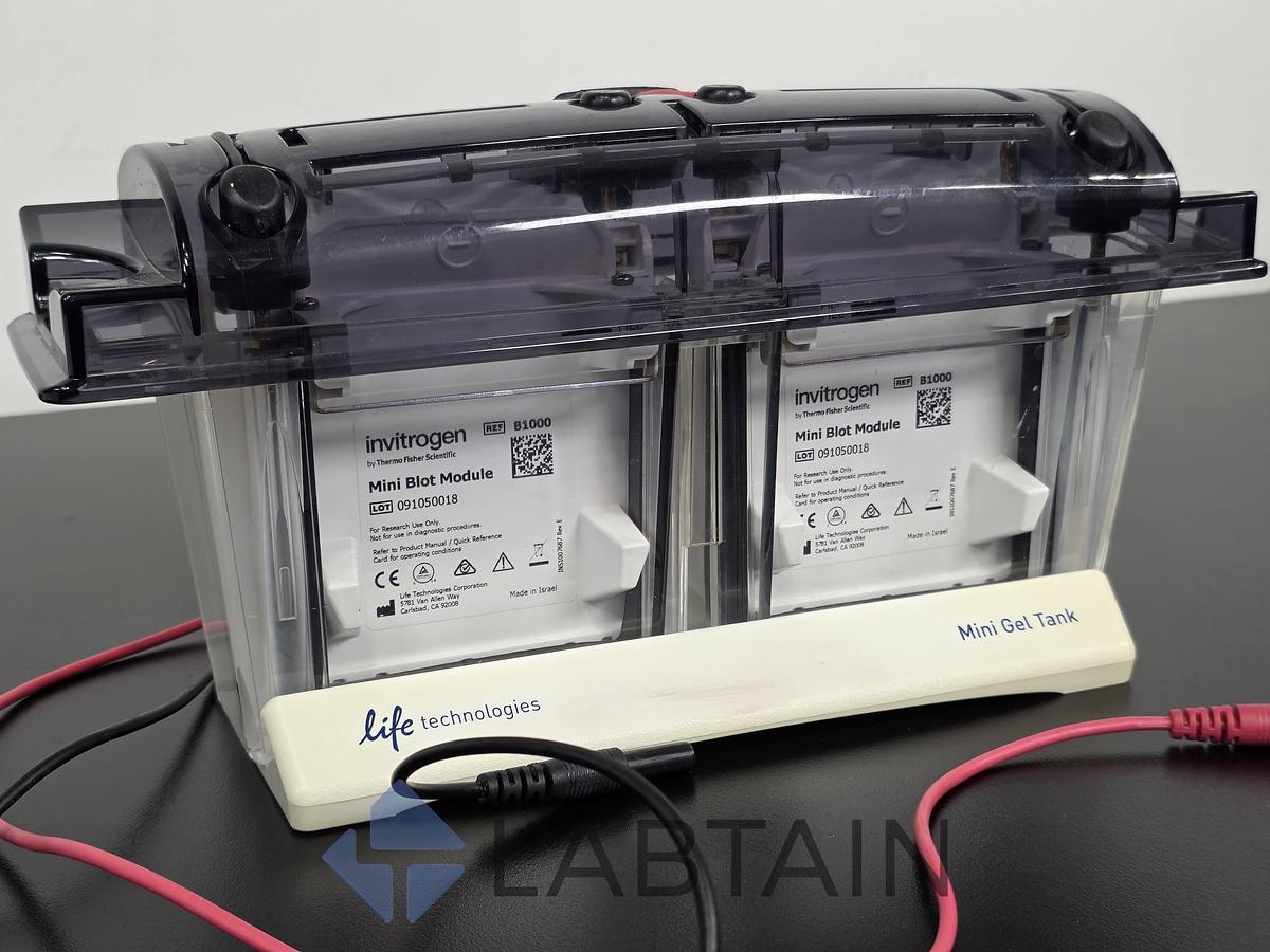 Used Life Technologies Novex Mini Gel Tank w/ (2) Invitrogen Mini Blot Modules