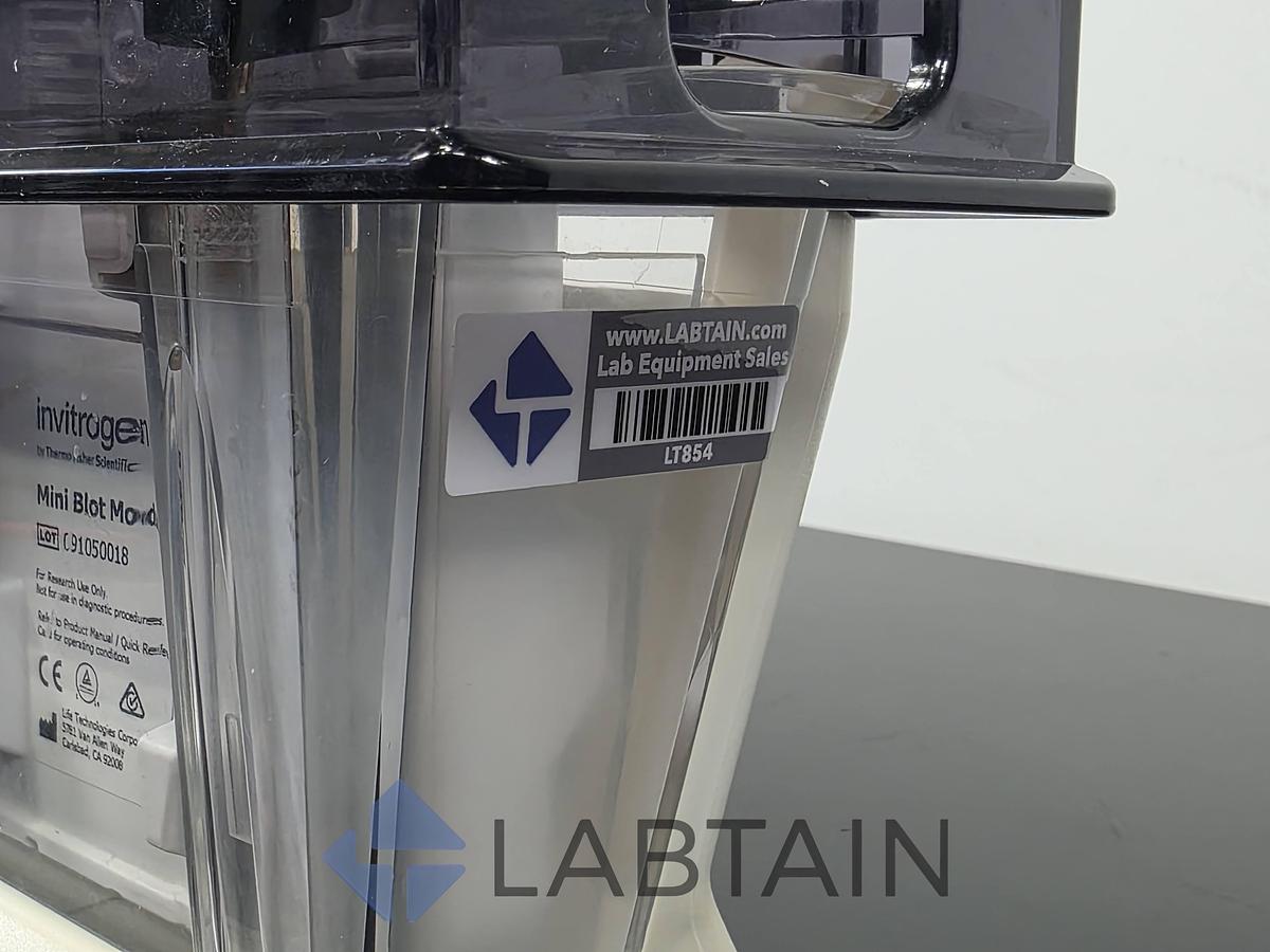Used Life Technologies Novex Mini Gel Tank w/ (2) Invitrogen Mini Blot Modules