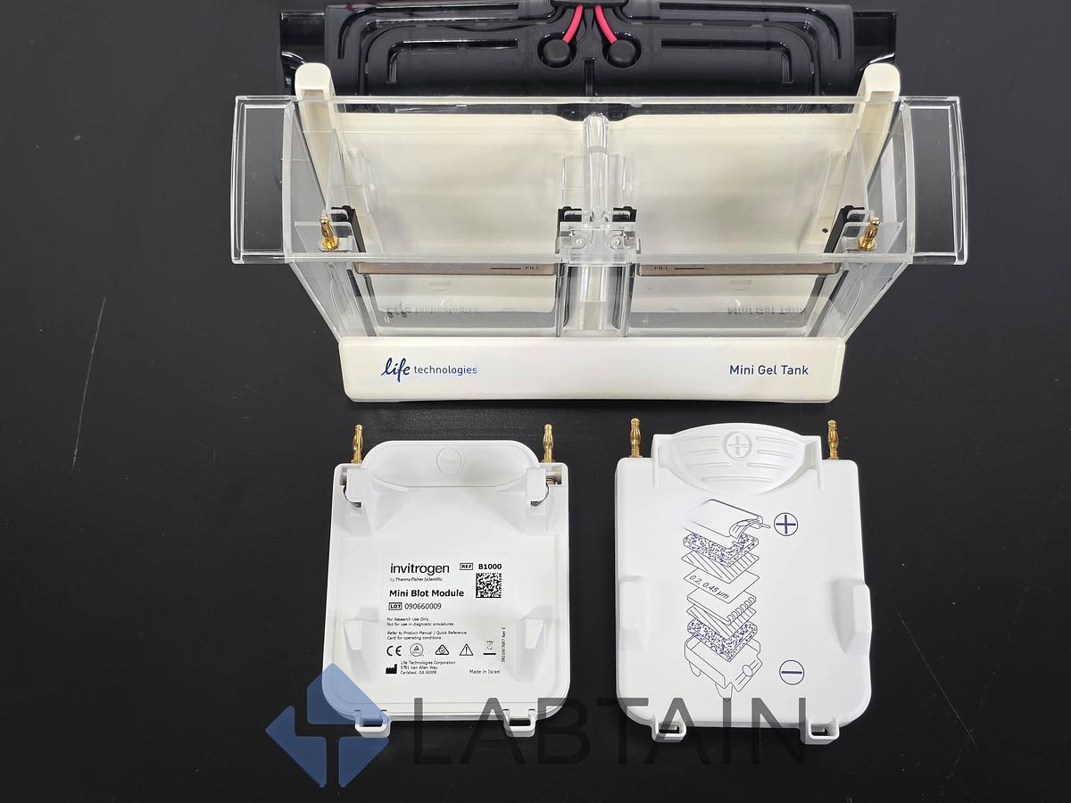 Used Life Technologies Novex Bolt Mini Gel Tank w/ (2) Invitrogen Mini Blot Modules