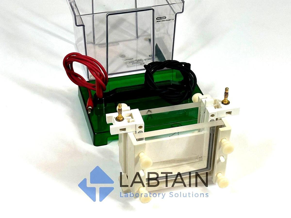Used BioRad / Bio-Rad Mini PROTEAN II Vertical Electrophoresis System | 125BR