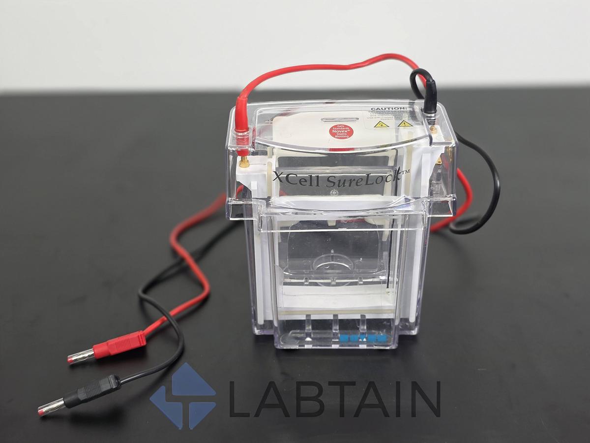 Used Novex Invitrogen XCell SureLock Mini-Cell Electrophoresis System Used