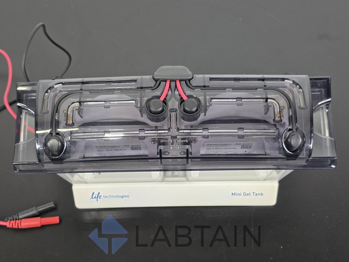 Used Life Technologies Novex Bolt Mini Gel Tank w/ (2) Invitrogen Mini Blot Modules