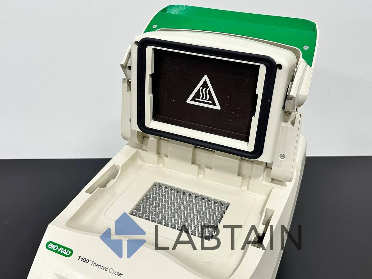 Used BIO RAD T100 Thermal Cycler