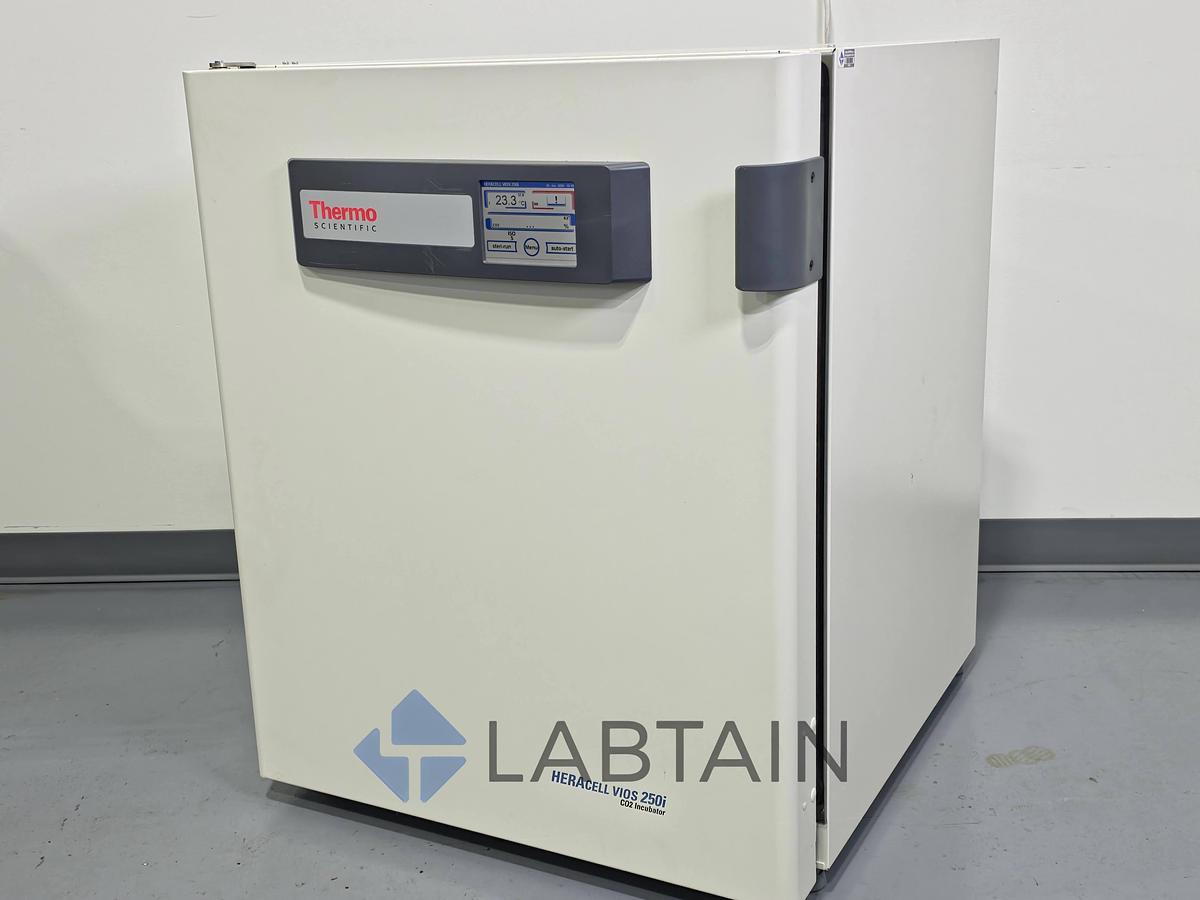 Used Thermo Scientific HERAcell Vios 250i CO2 Incubator (100V) Used
