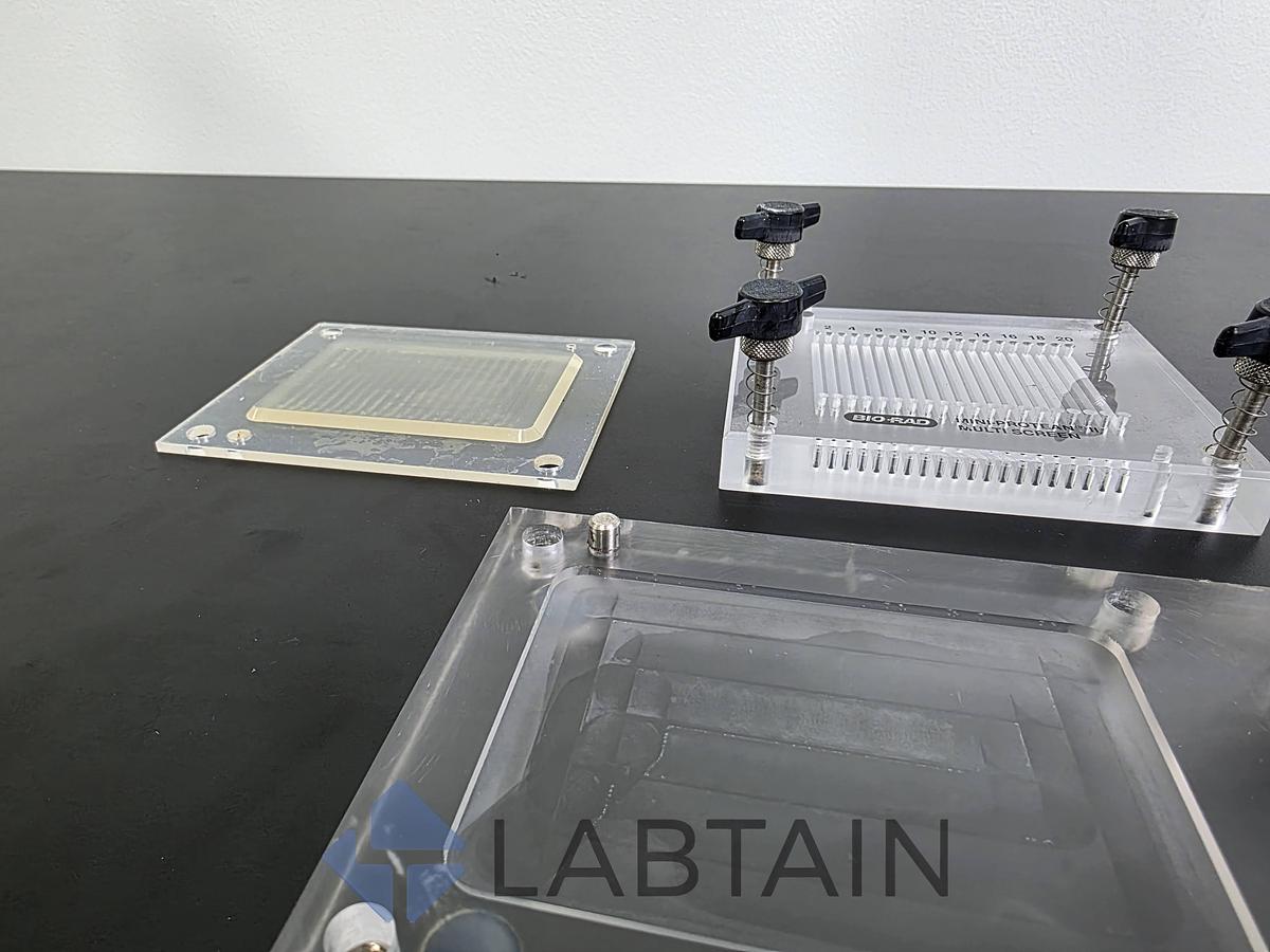 Used Bio-Rad Mini-PROTEAN II Multiscreen Immunoblotting Apparatus 170-4017