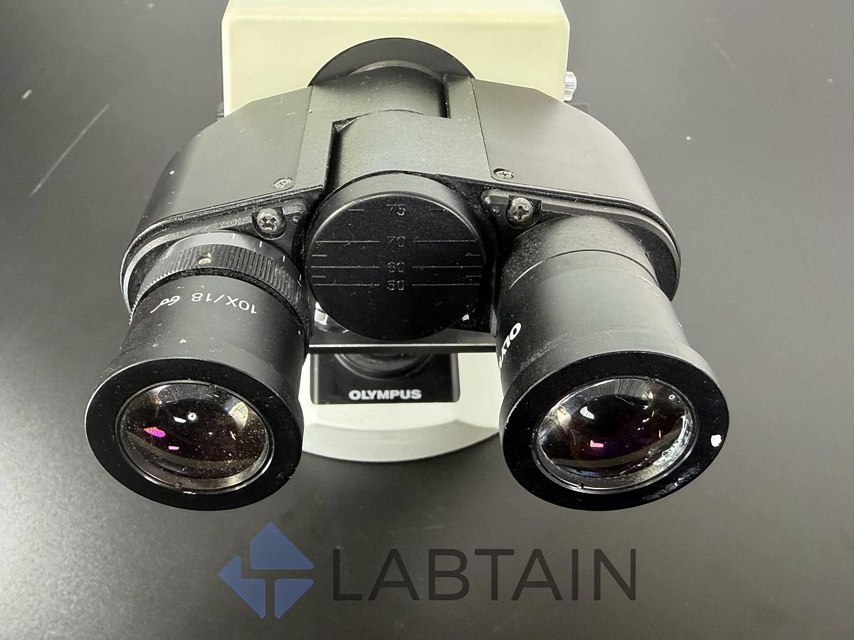 Used Olympus CX21FS1 Binocular Biological Microscope 4X 10X 40X 100X Objectives Used