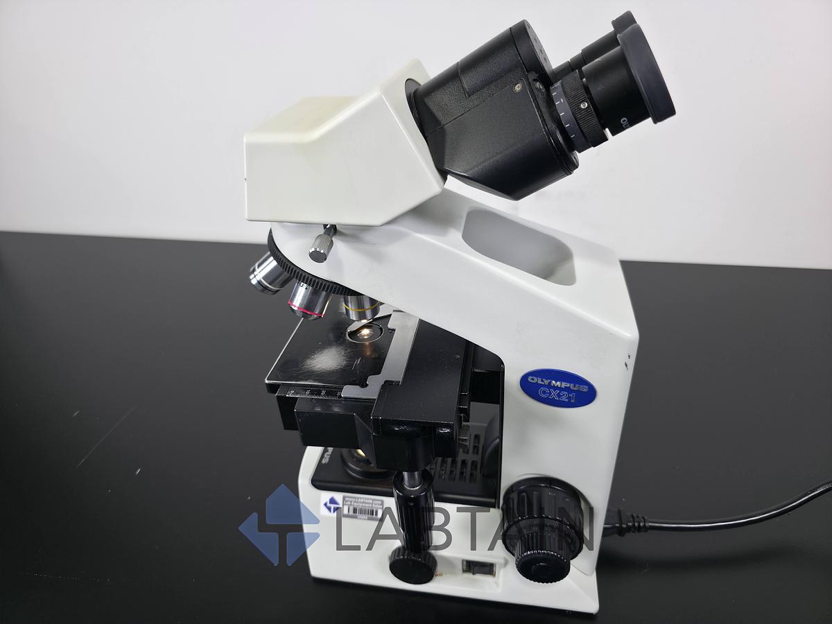 Used Olympus CX21FS1 Binocular Biological Microscope | 4X, 10X, 40X, 100X Objectives